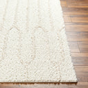 Surya Maryland Shag MSG-2301 Ivory Area Rug by LIVABLISS