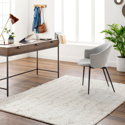 Surya Maryland Shag MSG-2301 Ivory Area Rug by LIVABLISS
