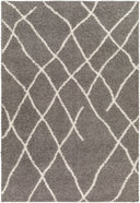 Surya Maryland Shag MSG-2308 Off-White Area Rug by LIVABLISS