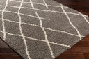 Surya Maryland Shag MSG-2308 Off-White Area Rug by LIVABLISS