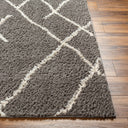 Surya Maryland Shag MSG-2308 Off-White Area Rug by LIVABLISS