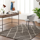 Surya Maryland Shag MSG-2308 Off-White Area Rug by LIVABLISS