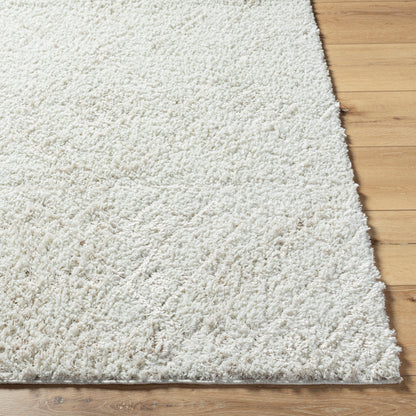 Surya Maryland Shag MSG-2311 White Area Rug by LIVABLISS