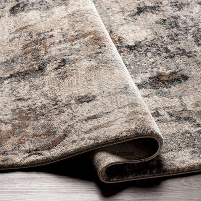 Surya Montana MTN-2303 Charcoal Area Rug by LIVABLISS