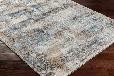 Surya Montana MTN-2308 Denim Area Rug by LIVABLISS