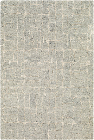 Surya Madelyn MYN-2305 Light Gray Area Rug by LIVABLISS