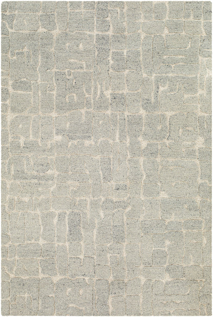 Surya Madelyn MYN-2305 Light Gray Area Rug by LIVABLISS