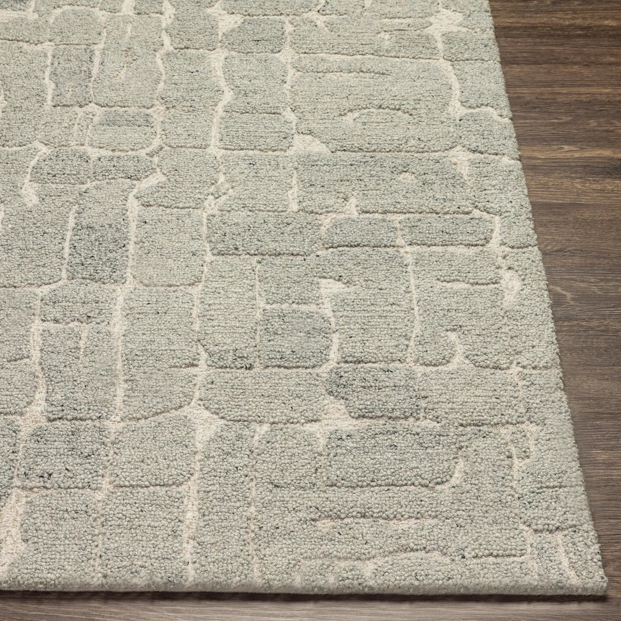 Madelyn MYN-2305 Light-Gray Area Rug by LIVABLISS