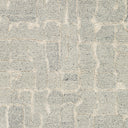 Surya Madelyn MYN-2305 Light Gray Area Rug by LIVABLISS