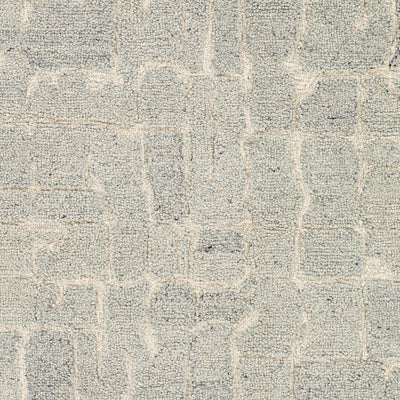 Surya Madelyn MYN-2305 Light Gray Area Rug by LIVABLISS
