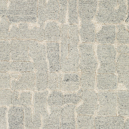 Surya Madelyn MYN-2305 Light Gray Area Rug by LIVABLISS