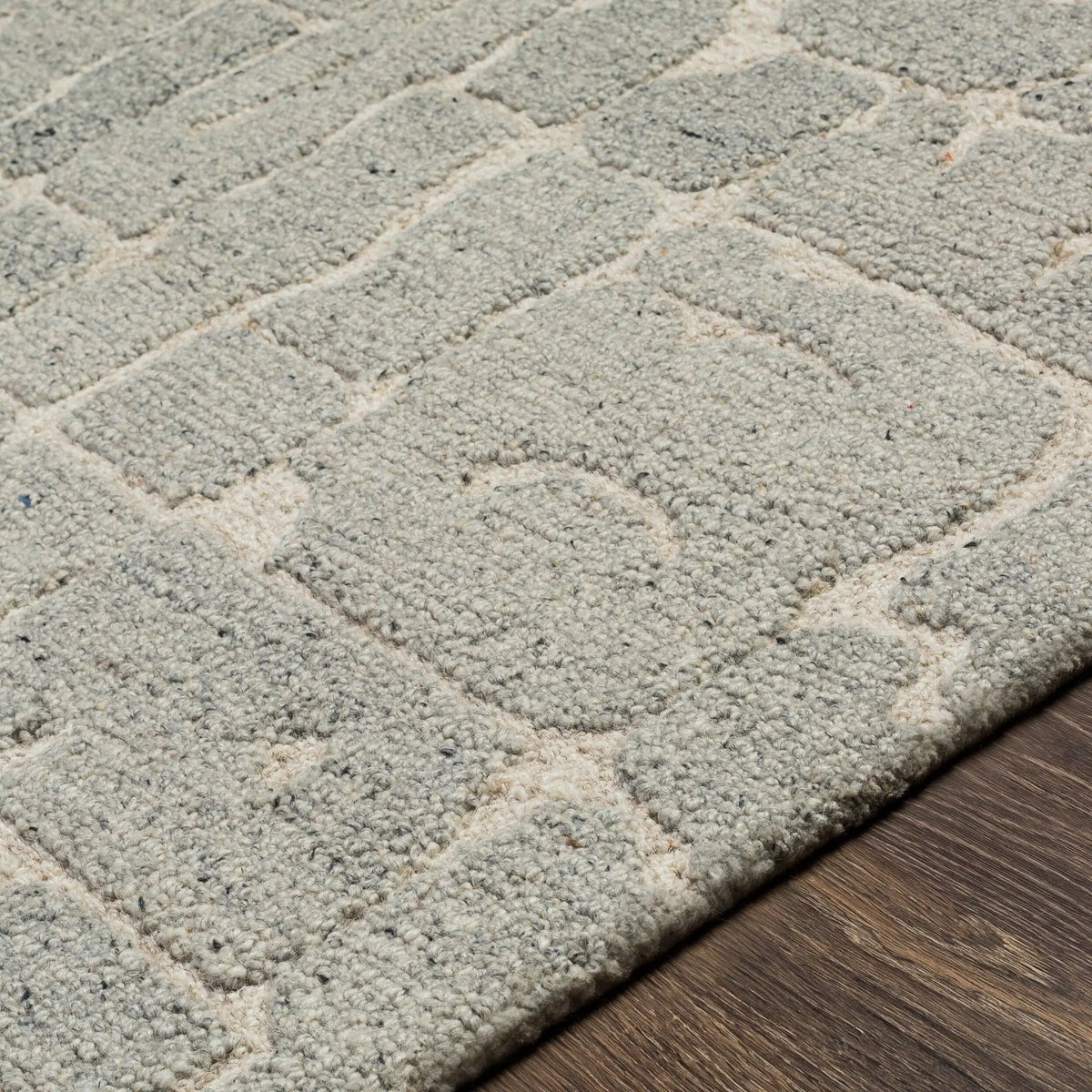 Madelyn MYN-2305 Light-Gray Area Rug by LIVABLISS