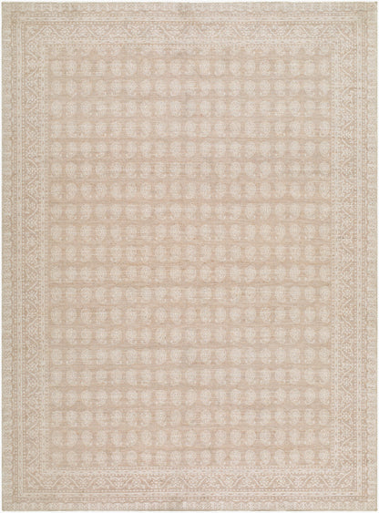 Nabela Noor Home x Livabliss Alo NBAL-2300 Oatmeal Area Rug