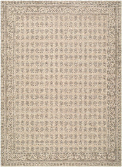 Nabela Noor Home x Livabliss Alo NBAL-2301 Medium Gray Area Rug