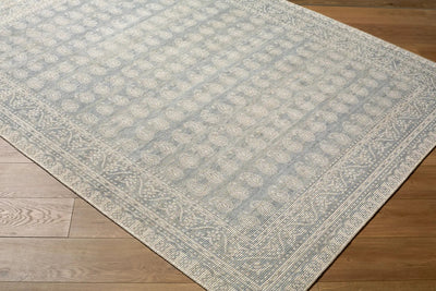 Alo NBAL-2303 Sky Blue Area Rug by Nabela Noor Home x LIVABLISS