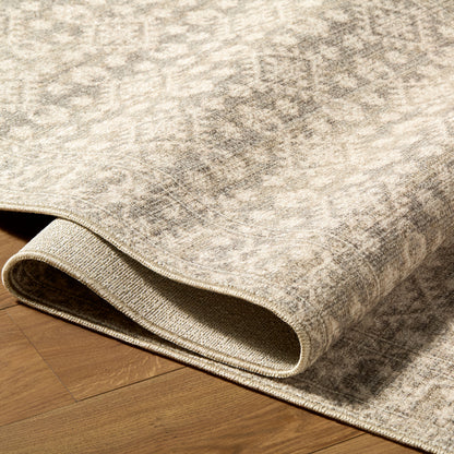 Nabela Noor Home x Livabliss Aram NBAR-2301 Charcoal Area Rug
