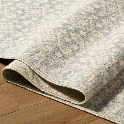 Nabela Noor Home x Livabliss Aram NBAR-2302 Denim Area Rug