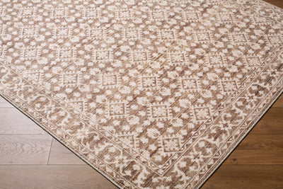 Nabela Noor Home x Livabliss Aram NBAR-2307 Dark Brown Area Rug