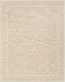 Nabela Noor Home x Livabliss Asha NBAS-2300 Oatmeal Area Rug