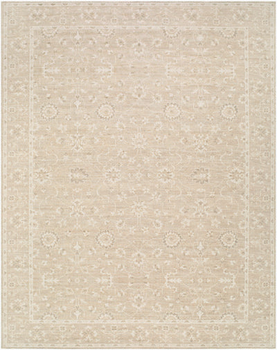 Nabela Noor Home x Livabliss Asha NBAS-2300 Oatmeal Area Rug
