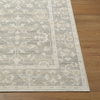 Asha NBAS-2301 Sage Area Rug by Nabela Noor Home x LIVABLISS