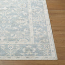Nabela Noor Home x Livabliss Asha NBAS-2302 Sky Blue Area Rug
