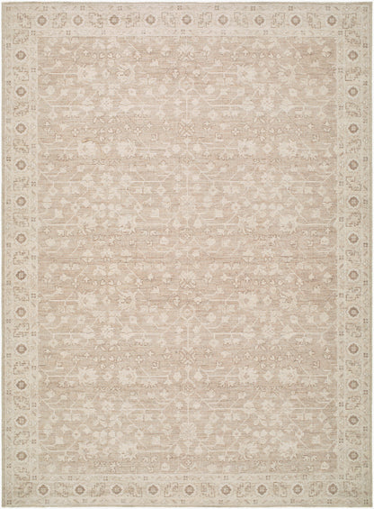 Nabela Noor Home x Livabliss Asha NBAS-2303 Taupe Area Rug