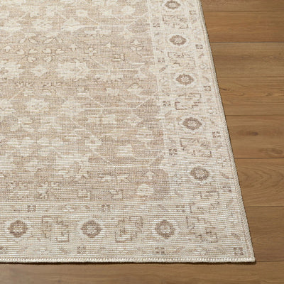 Asha NBAS-2303 Taupe Area Rug by Nabela Noor Home x LIVABLISS