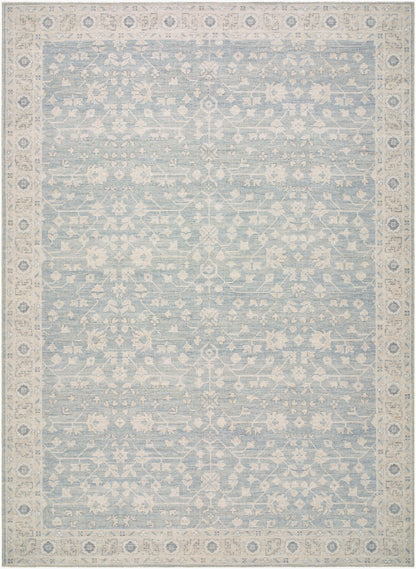 Nabela Noor Home x Livabliss Asha NBAS-2304 Sky Blue Area Rug