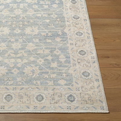 Asha NBAS-2304 Sky Blue Area Rug by Nabela Noor Home x LIVABLISS