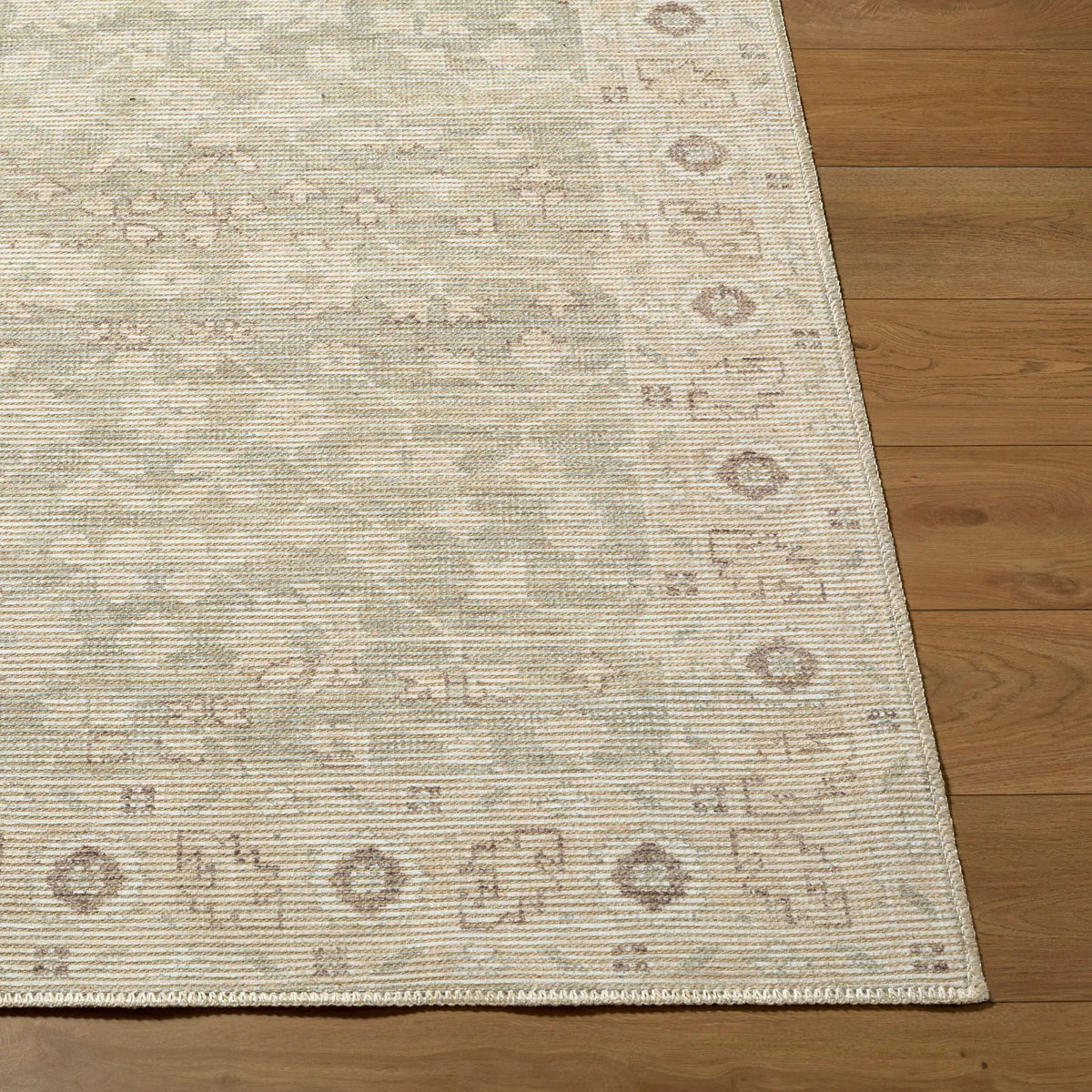 Asha NBAS-2305 Sage Area Rug by Nabela Noor Home x LIVABLISS