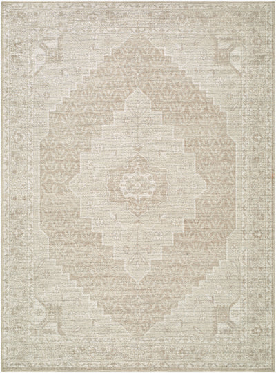 Nabela Noor Home x Livabliss Athiyo NBAT-2300 Tan Area Rug