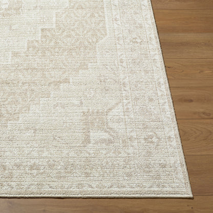 Nabela Noor Home x Livabliss Athiyo NBAT-2300 Tan Area Rug