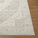 Nabela Noor Home x Livabliss Athiyo NBAT-2301 Gray Area Rug