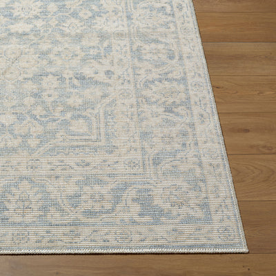 Maan NBMA-2304 Sky Blue Area Rug by Nabela Noor Home x LIVABLISS