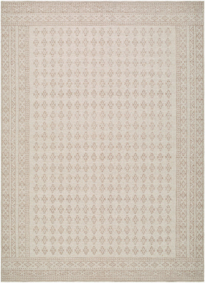 Nabela Noor Home x Livabliss Shanti NBSH-2300 Taupe Area Rug