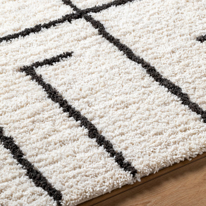 Surya Nicole NCO-2301 Ivory Area Rug by LIVABLISS
