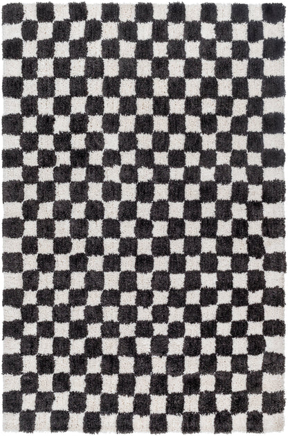Surya Nicole NCO-2302 Charcoal Area Rug by LIVABLISS