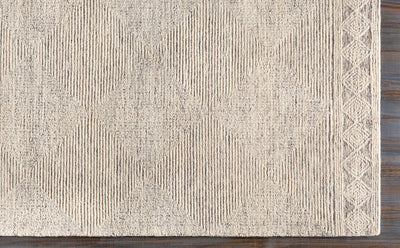 Surya Newcastle NCS-2313 Cream Area Rug by LIVABLISS