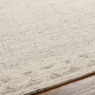 Surya Newcastle NCS-2313 Cream Area Rug by LIVABLISS