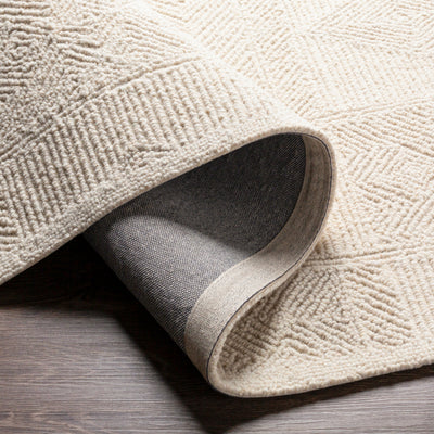 Surya Newcastle NCS-2314 Cream Area Rug by LIVABLISS