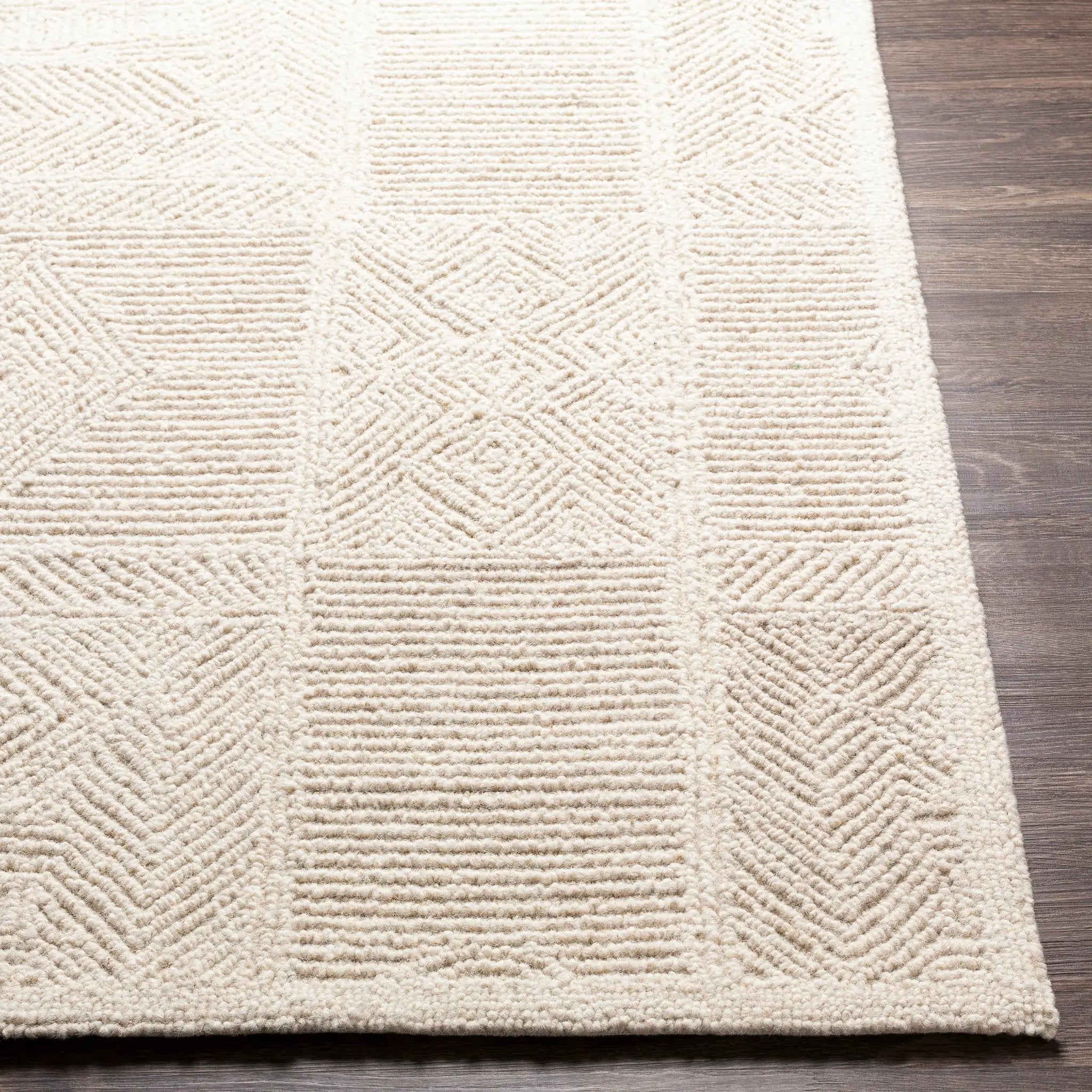 Newcastle NCS-2314 Cream Area Rug by LIVABLISS