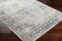 Surya Norland NLD-2317 Medium Gray Area Rug by LIVABLISS