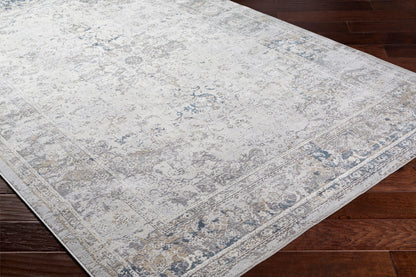 Surya Norland NLD-2317 Medium Gray Area Rug by LIVABLISS