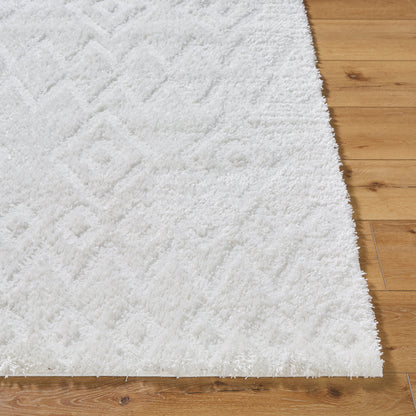Surya Nomadic NMC-2306 Ivory Area Rug by LIVABLISS