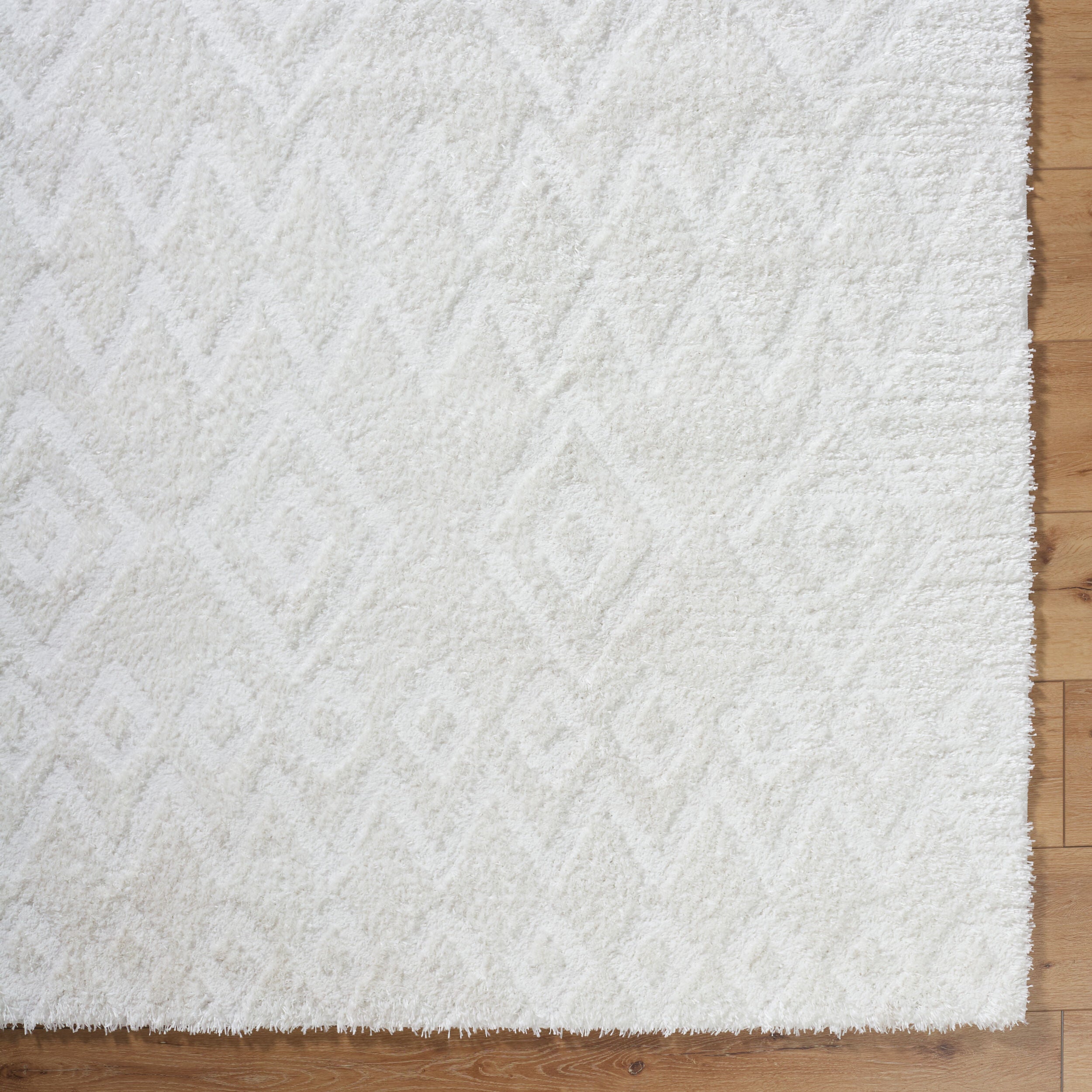 Surya Nomadic NMC-2306 Ivory Area Rug by LIVABLISS