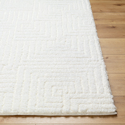 Surya Nomadic NMC-2314 Ivory Area Rug by LIVABLISS