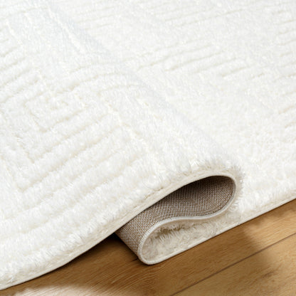 Surya Nomadic NMC-2314 Ivory Area Rug by LIVABLISS