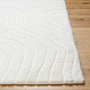 Surya Nomadic NMC-2315 Ivory Area Rug by LIVABLISS