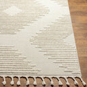 Surya Nora NOA-2304 Light Gray Area Rug by LIVABLISS